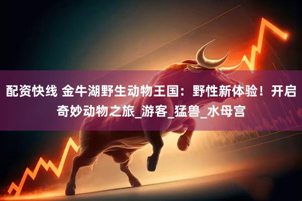 配资快线 金牛湖野生动物王国：野性新体验！开启奇妙动物之旅_游客_猛兽_水母宫