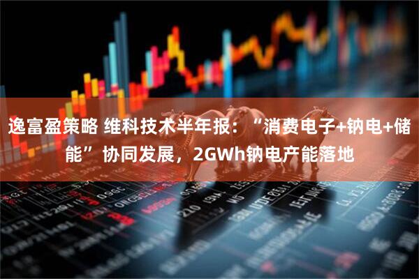 逸富盈策略 维科技术半年报：“消费电子+钠电+储能” 协同发展，2GWh钠电产能落地