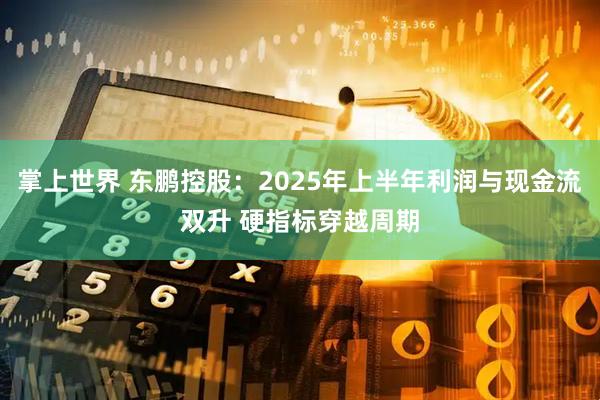 掌上世界 东鹏控股：2025年上半年利润与现金流双升 硬指标穿越周期
